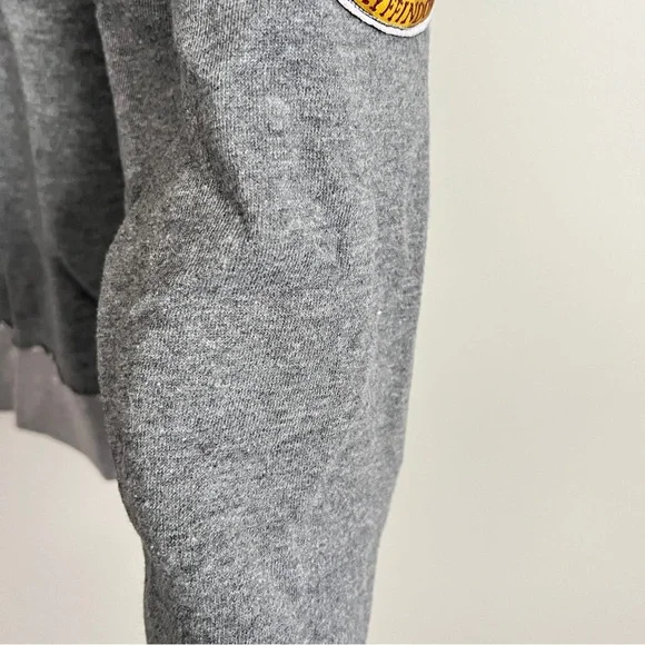 Harry Potter Gryffindor Sweatshirt Universal Studios Park Exclusive Gray Size S - Picture 6 of 11